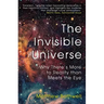 The Invisible Universe: Why There's More to Reality Than Meets the Eye