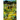 Search