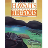 Discover Hawaii's Sandy Beaches and Tidepools