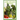 Low Oxlade Recipes: The Incredible Guide On Low Oxalate Diets And Recipes
