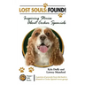 Lost Souls: FOUND! Inspiring Stories About Cocker Spaniels