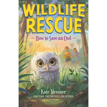 How to Save an Owl