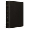 ESV Study Bible, Large Print (Buffalo Leather, Deep Brown)