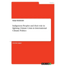 Indigenous Peoples and their role in fighting Climate Crisis in International Climate Politics