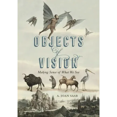 Objects of Vision: Making Sense of What We See