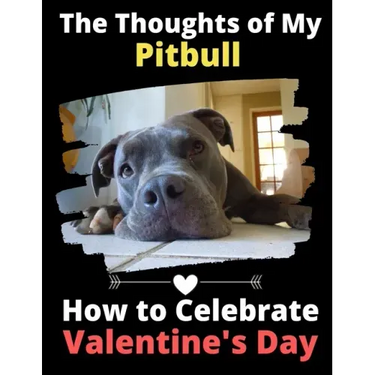The Thoughts of My Pitbull: How to Celebrate Valentine's Day