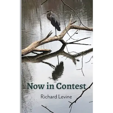 Now in Contest