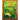 Nobody Likes Frogs: A Book of Toadally Fun Facts