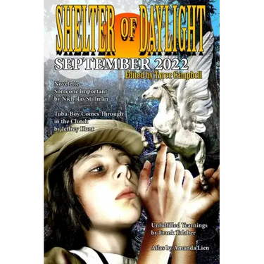 Shelter of Daylight September 2022