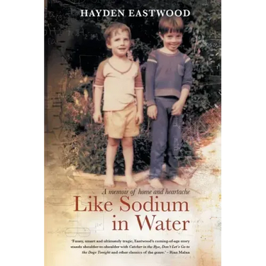 Like Sodium in Water: A memoir of home and heartache
