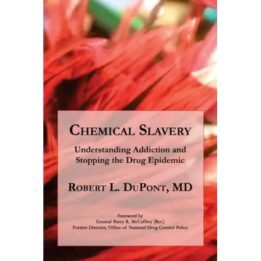 Chemical Slavery: Understanding Addiction and Stopping the Drug Epidemic