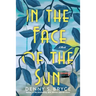 In the Face of the Sun: A Fascinating Novel of Historical Fiction Perfect for Book Clubs