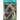 Porcupines