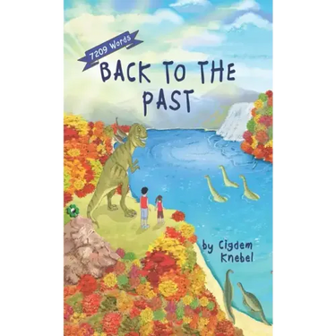 Back To The Past: Decodable Chapter Books For Kids With Dyslexia