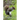 Grey Squirrel Control: With An Air Rifle