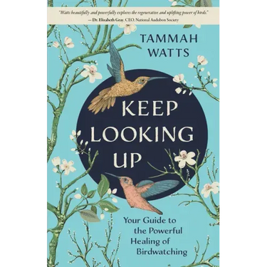 Keep Looking Up: Your Guide to the Powerful Healing of Birdwatching