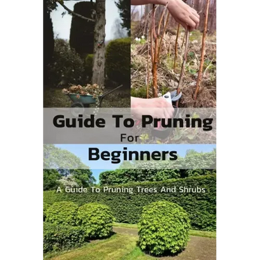 Guide To Pruning For Beginners: A Guide To Pruning Trees And Shrubs