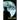 The Killing Moon