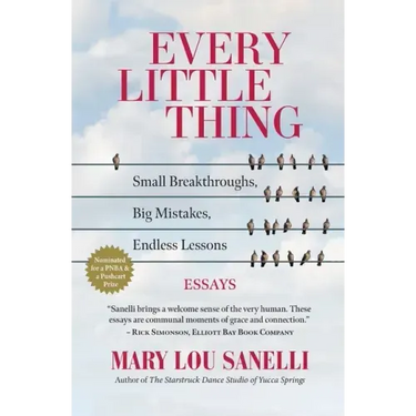 Every Little Thing: Small Breakthroughs, Big Mistakes, Endless Lessons