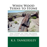 When Wood Turns to Stone: The Story of the Arizona National Petrified Forest