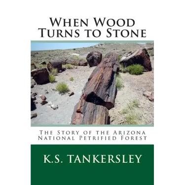 When Wood Turns to Stone: The Story of the Arizona National Petrified Forest