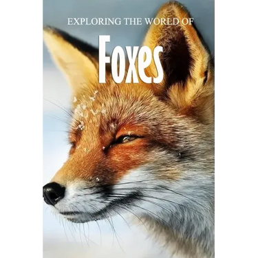 Exploring the World of Foxes: Educational Animals Book For Kids