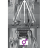 Argentine, Mexican, and Guatemalan Photography: Feminist, Queer, and Post-Masculinist Perspectives