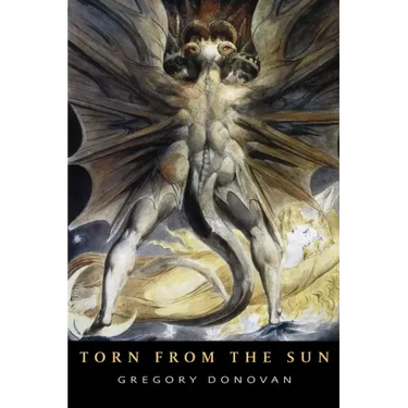 Torn from the Sun