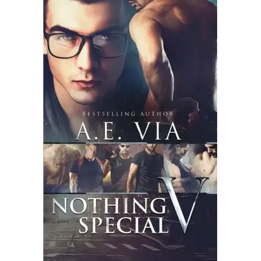 Nothing Special V