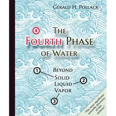 The Fourth Phase of Water: Beyond Solid, Liquid, and Vapor