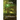 Seeing Green