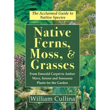 Native Ferns, Moss, and Grasses