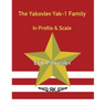 The Yakovlev Yak-1 Family In Profile & Scale