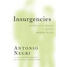 Insurgencies: Constituent Power and the Modern State