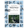 The Nature of Florida's Waterways: Including Dragonflies, Cattails, and Mangrove Snapper