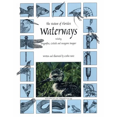 The Nature of Florida's Waterways: Including Dragonflies, Cattails, and Mangrove Snapper