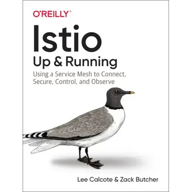Istio: Up and Running: Using a Service Mesh to Connect, Secure, Control, and Observe