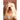 Lhasa Apso Care Guide Lhasa Apso Dog & Puppy Care Facts & Information: Lhasa Apso, Puppies, Lhasa Apso Dog Price, Breeders, Grooming, Rescue, Temperam