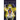 First Steps in Ritual