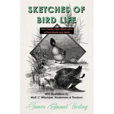 Sketches of Bird Life - From Twenty Years Observation of Their Haunts and Habits - With Illustrations by Wolf, C. Whymper, Keulemans, and Thorburn