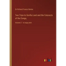 Two Trips to Gorilla Land and the Cataracts of the Congo,: Volume 2 - in large print