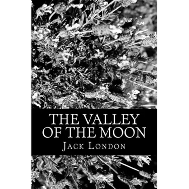 The Valley of the Moon