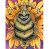 The Star Father's Gift: A Story from the Bees