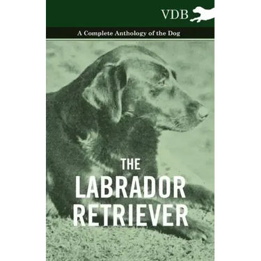 The Labrador Retriever - A Complete Anthology of the Dog