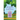 The Secret of the Fairy Doors