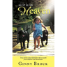 ...as it is in Heaven: True Stories of Life Before Life From Children Who Remember
