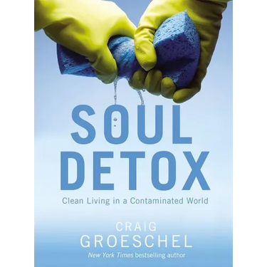 Soul Detox: Clean Living in a Contaminated World