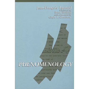 Phenomenology