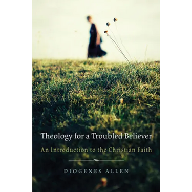Theology for a Troubled Believer: An Introduction to the Christian Faith