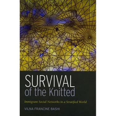 Survival of the Knitted: Immigrant Social Networks in a Stratified World